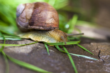 Similar image 21079304