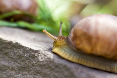 Similar image 21079306