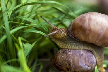 Similar image 21079308