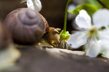 Similar image 21079310