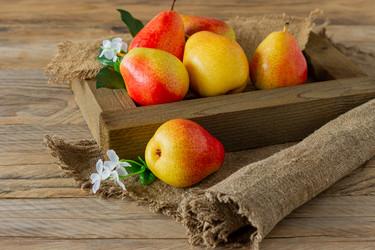 Similar image 21033624