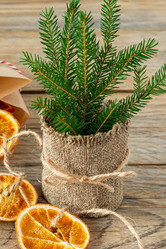 Similar image 21033645