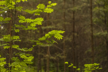 Similar image 21078487