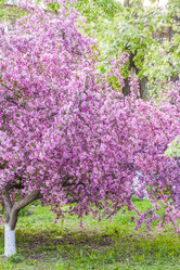 Similar image 21076406