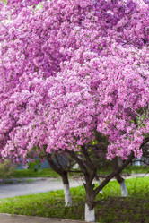 Similar image 21071434