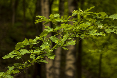 Similar image 21076416