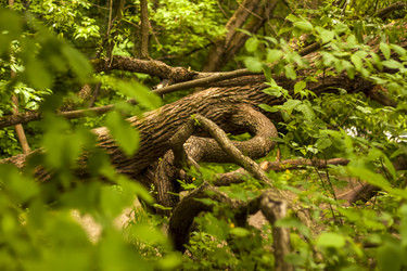 Similar image 21071437