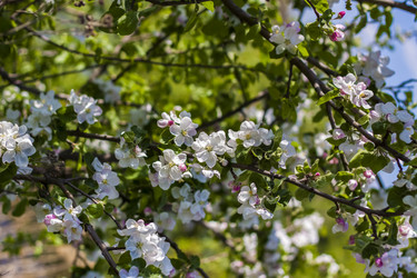 Similar image 21071440