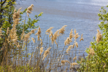 Similar image 21071443