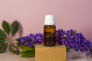 Similar image 21045571