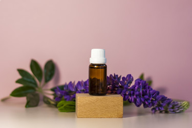 Similar image 21045573