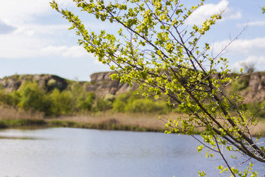 Similar image 21071448