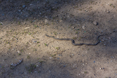 Similar image 21071449