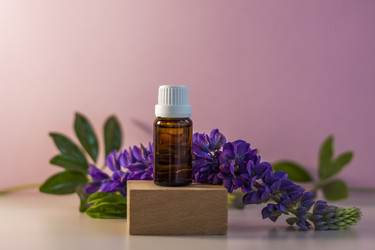 Similar image 21045579