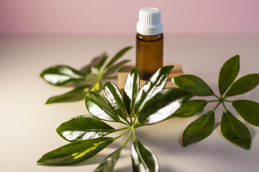 Similar image 21045580