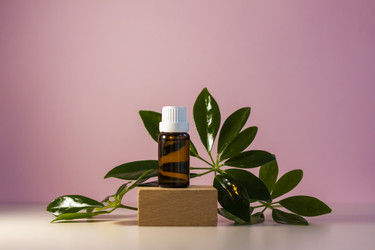 Similar image 21045582