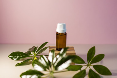 Similar image 21045586