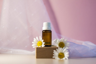 Similar image 21045600