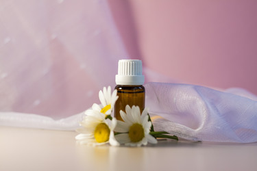 Similar image 21045602