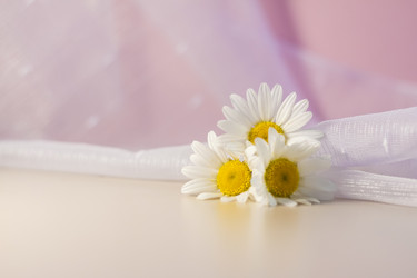 Similar image 21045604