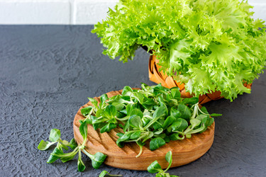 Similar image 21033669