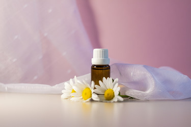 Similar image 21045605