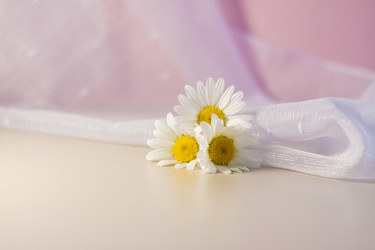 Similar image 21045606