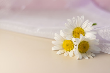 Similar image 21045607