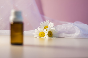 Similar image 21045611