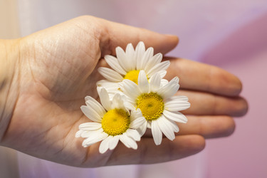 Similar image 21044537