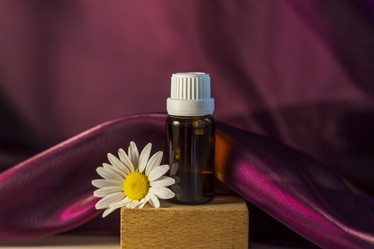 Similar image 21044541