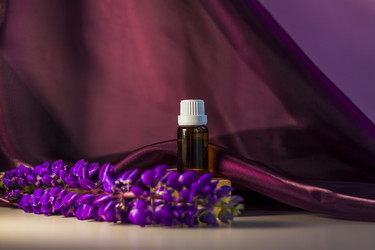 Similar image 21044543