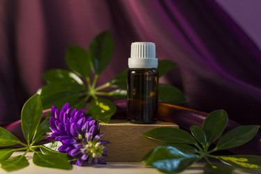 Similar image 21044551