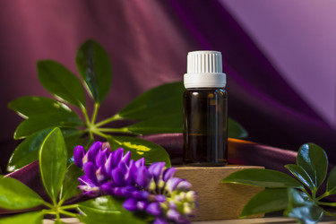 Similar image 21044553