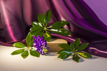 Similar image 21044554