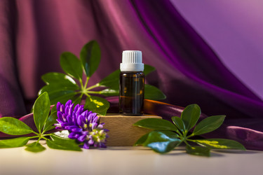 Similar image 21044555