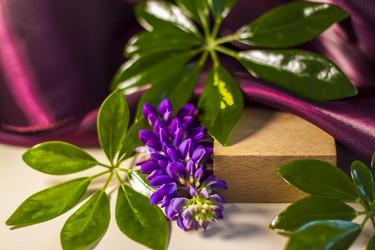 Similar image 21044558