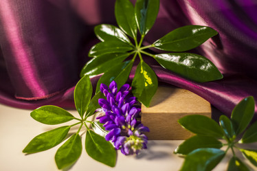 Similar image 21044560