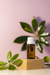 Similar image 21044566