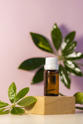 Similar image 21044571