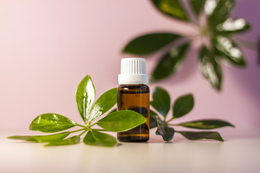 Similar image 21044573