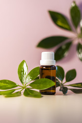 Similar image 21044574