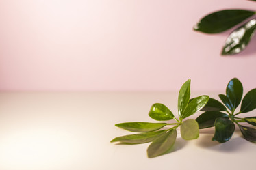 Similar image 21033686