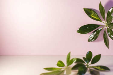 Similar image 21033687