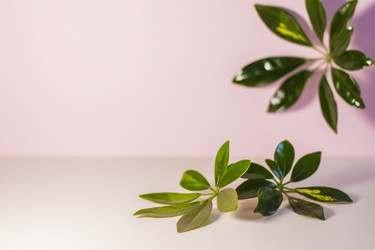 Similar image 21033688