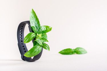 Similar image 21074929