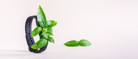 Similar image 21074930