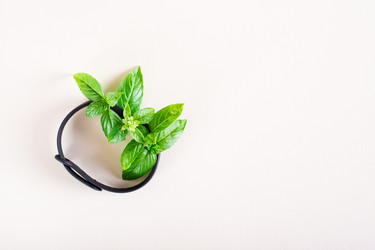 Similar image 21074937