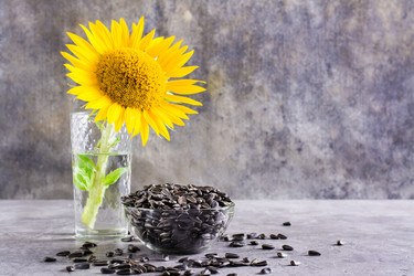 Similar image 21075281