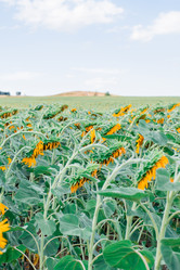 Similar image 21034201